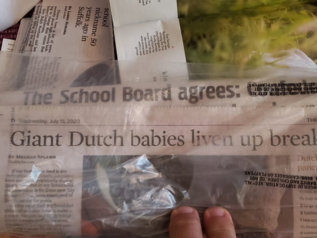 still funny, July 15, 2020.  Giant Dutch Babies better watch that School board.