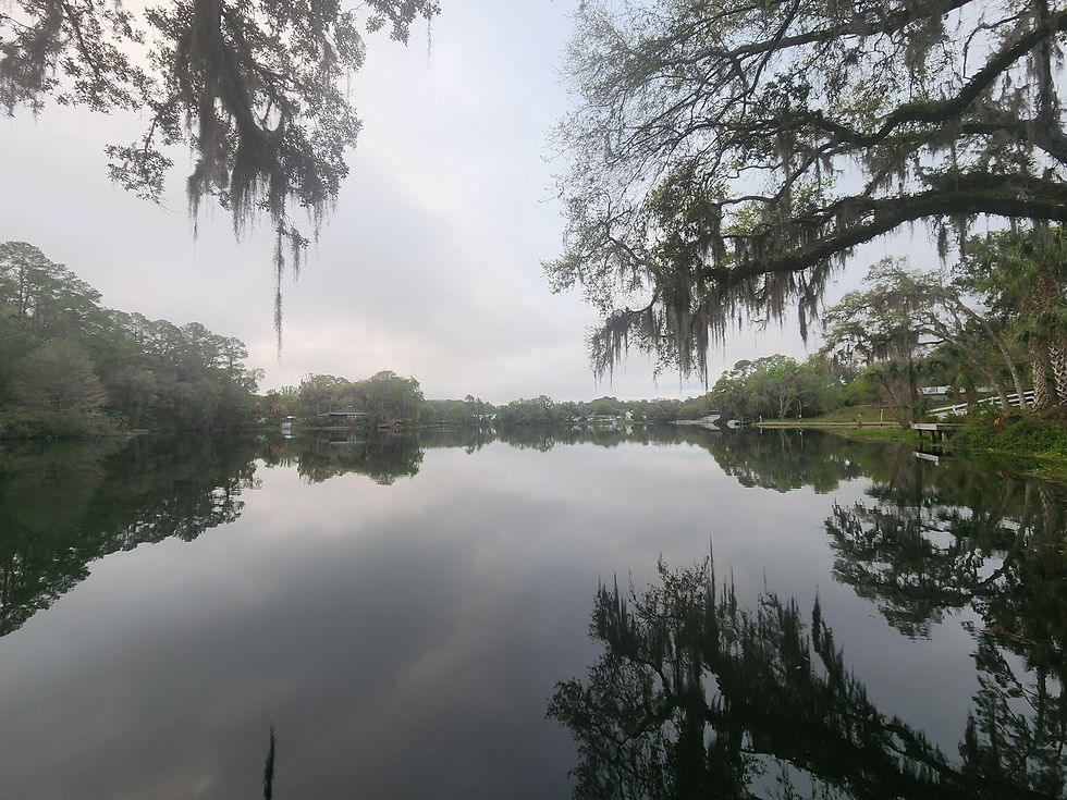 Spring Break, March 2026.  With AnnaLeigh and Leanna.  Blue Cove leading to Rainbow River behind the VRBO. ( 7 pics)