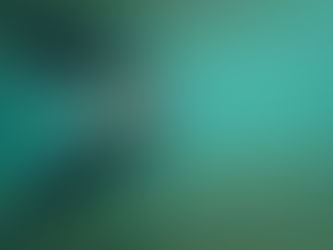 Spring Break, March 2026.  With Leanna and AnnaLeigh.  Swimming with a Manatee Mom and Pup. (8 pics)