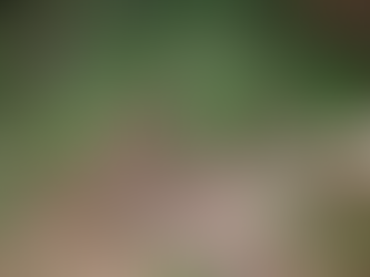 Kalamazoo, Mi. Visiting Phil and Christine. August 2019 (5 Pics)
