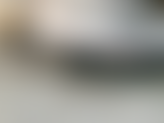 Hermit Crab, Chesapeake Bay, Summer 2021