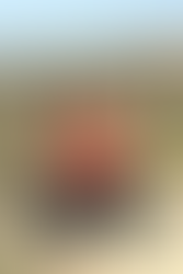 The Road to Page, Az. March 26, 2022. With Leanna (7 Pics)