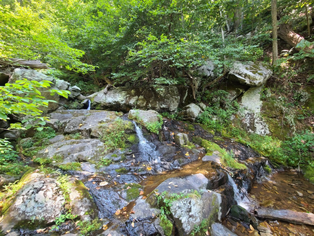 Blue Ridge, Va, Aug 2021, small little waterfalls all the way down the trail.