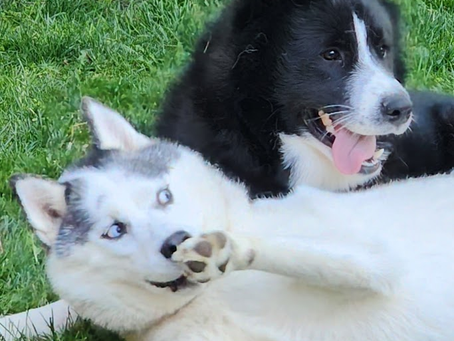 Fin and Raina, May 21, 2023