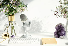 Events - Rebecca Adams - mic