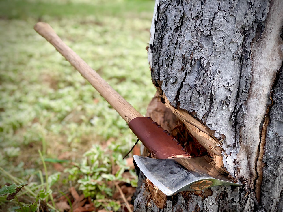 Progress of cutting down the old apple tree during our stay at Arie’s place in East Margaretsville, Nova Scotia.