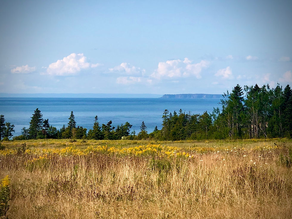 A view of the Bay of Fundy from our camping spot with the dramatic cliffs of Isle Haute to the upper right.