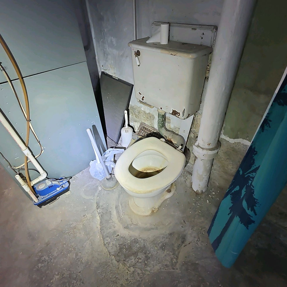What Is a Pittsburgh Potty? A Home Inspector's Complete Guide to That Lone Basement Toilet