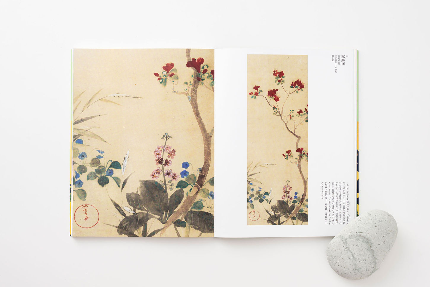光琳派
－国宝『燕子花図』と尾形光琳のフォロワーたち―