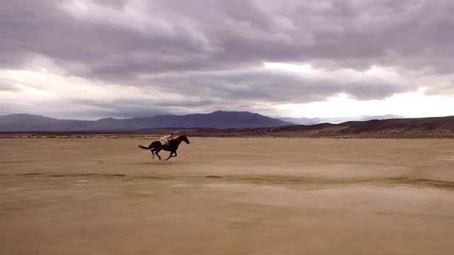 montale arabians tonka