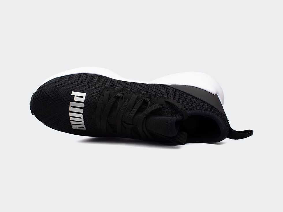 Miniatura: PUMA 10Cell #2