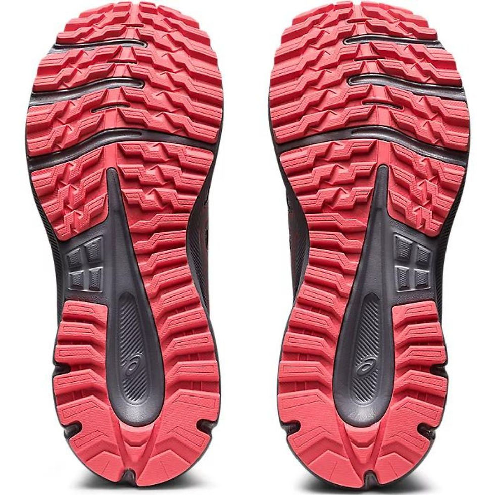 Miniatura: TRAIL SCOUT 2