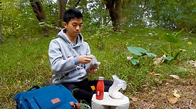 Screen Shot 2019-03-15 at 4.18.48 PM.jpg