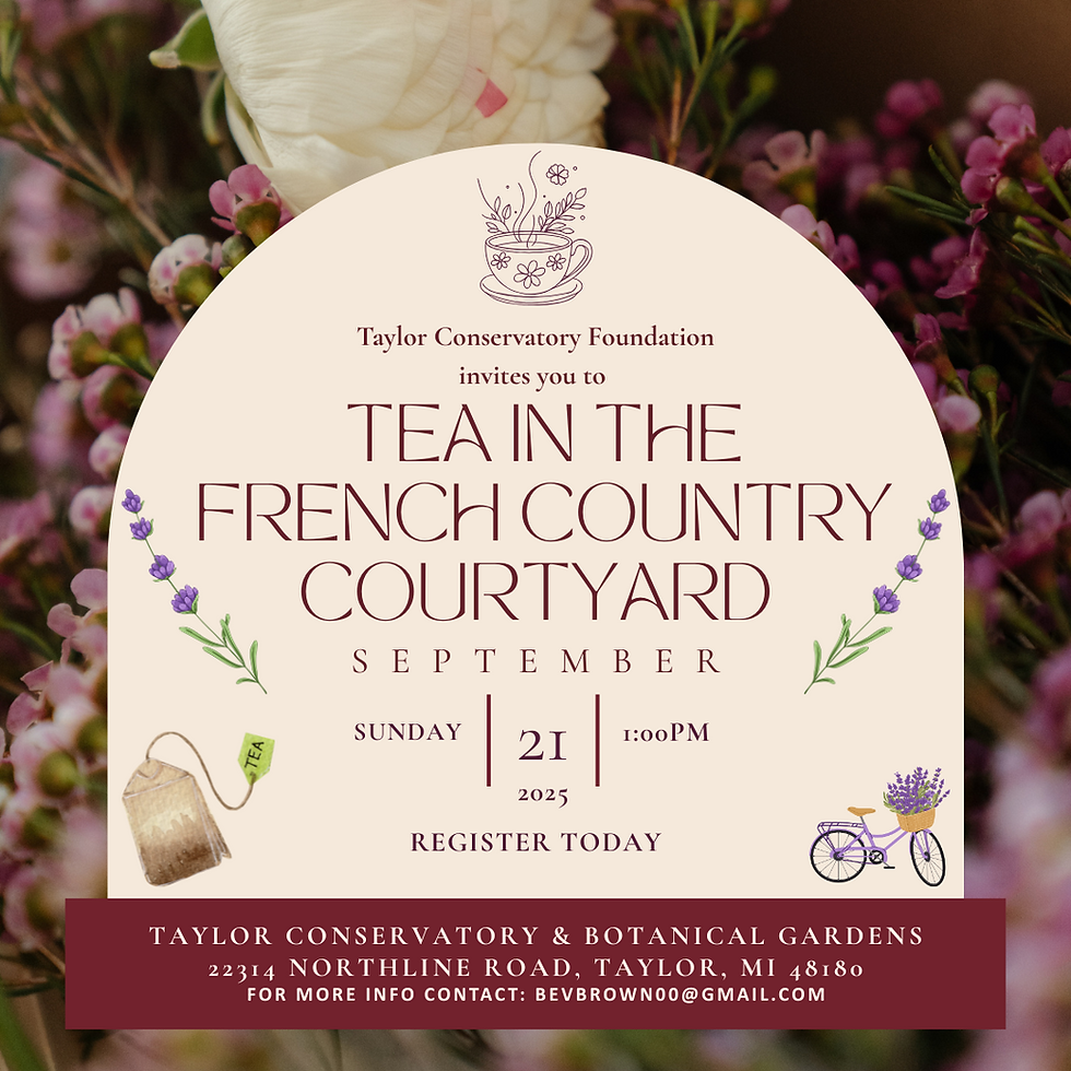 Tea in the French Country Courtyard