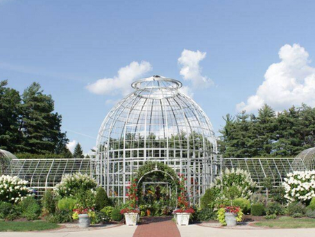 Music & Art in The Gardens 2020