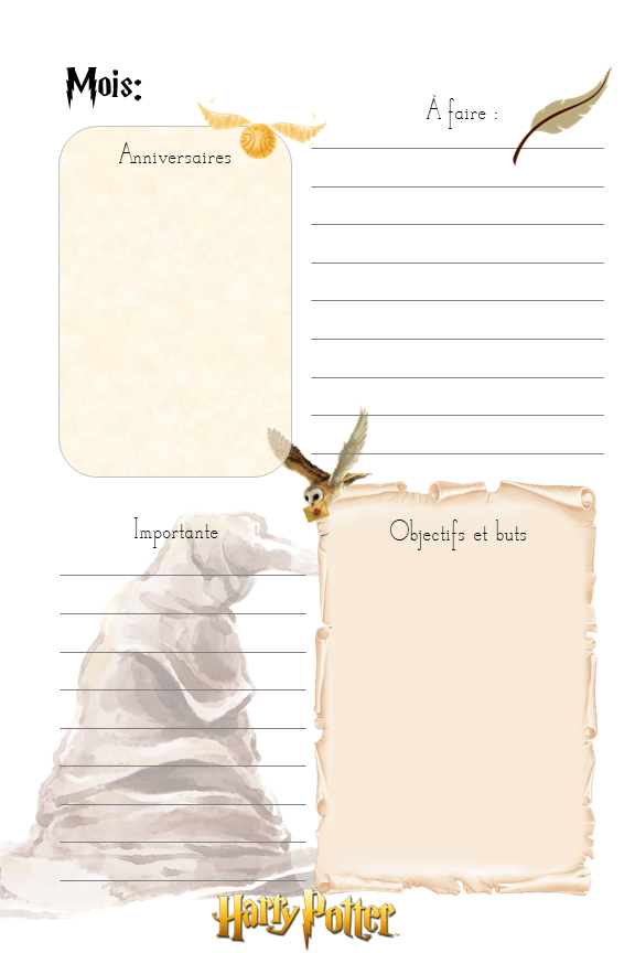 Miniature : Harry Potter 1