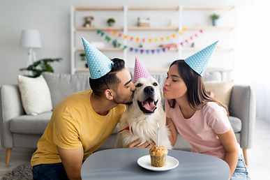 Dog birthday shutterstock_2048143301.jpg