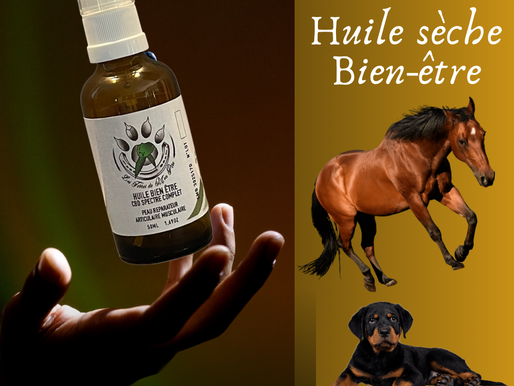 Huile de chanvre Bien-Être