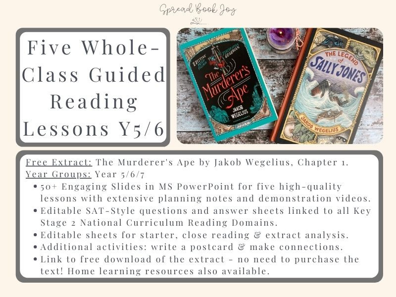 Five Y5/6 Guided Reading Lessons: The Murderer's Ape