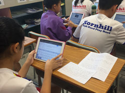 Lesson Observations