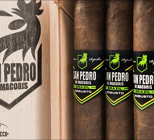 Sigari San Pedro Robusto