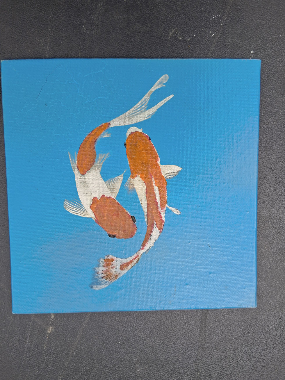 Koi Fish