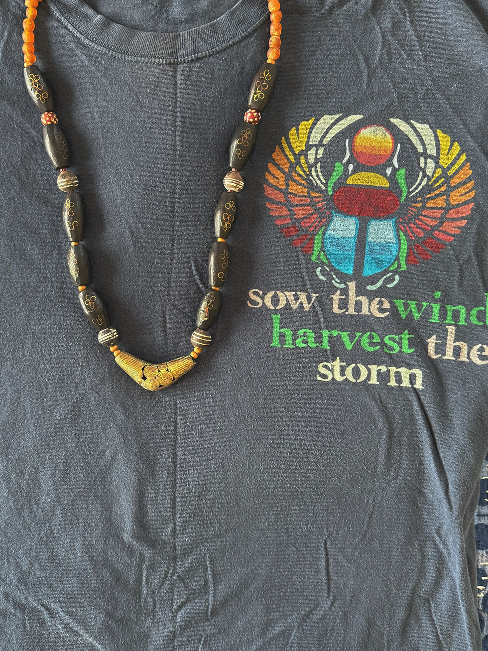 Thumbnail: Sow the Wind Harvest the Storm 