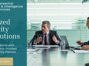 Boutique Protective and Intelligence Services for Businesses, Families and Individuals