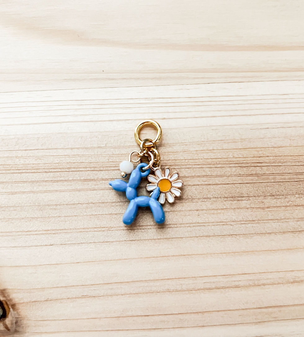 Charm Set for Charging Port Cover
