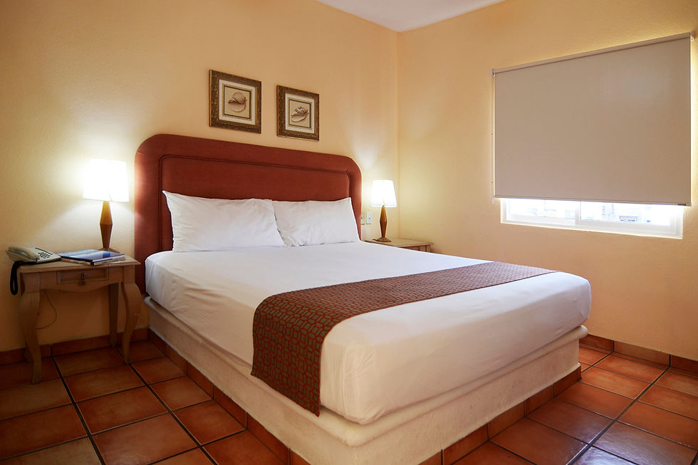 Hotel 1 King Bed