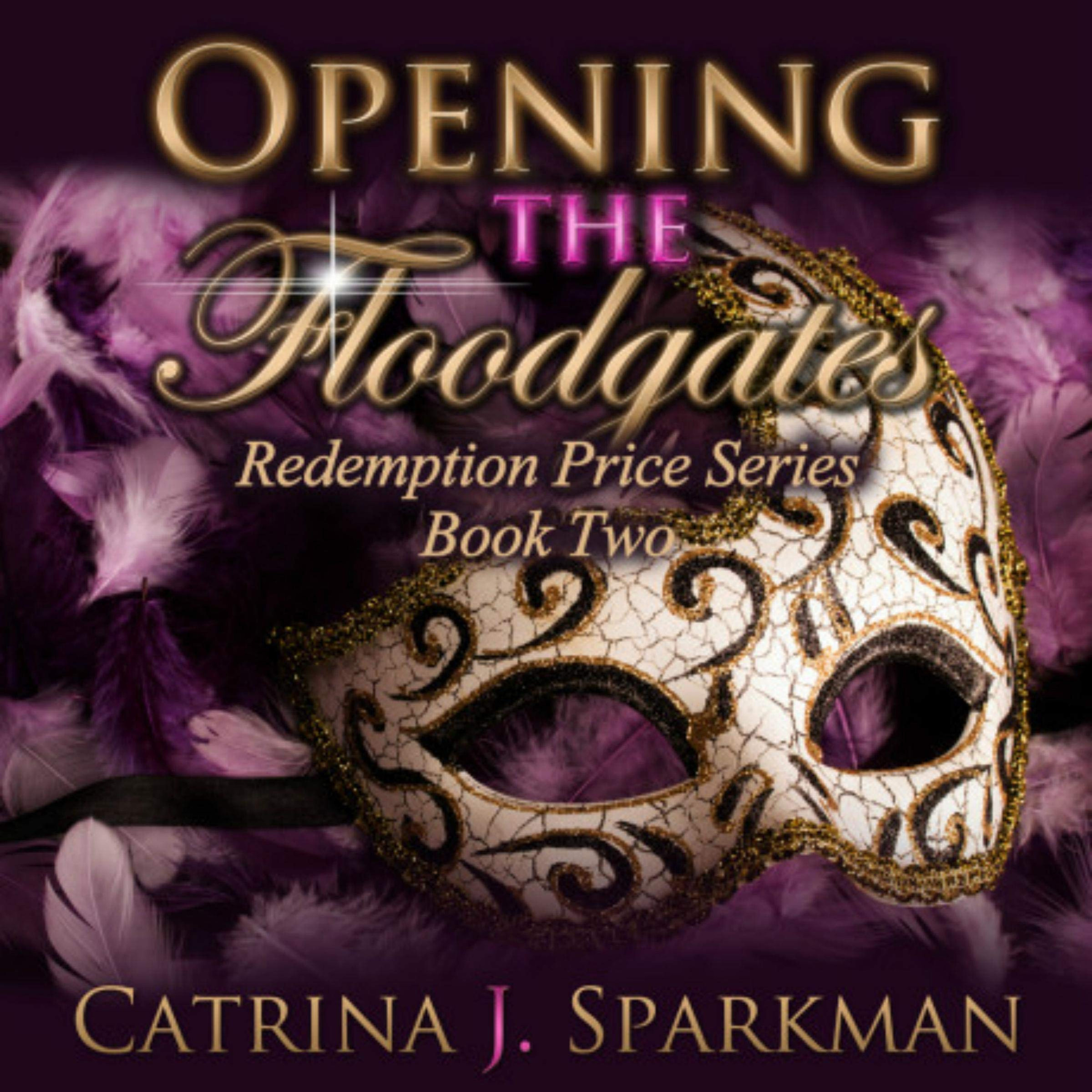 Opening the Floodgates (Redemption Price Series: Book Two 2)