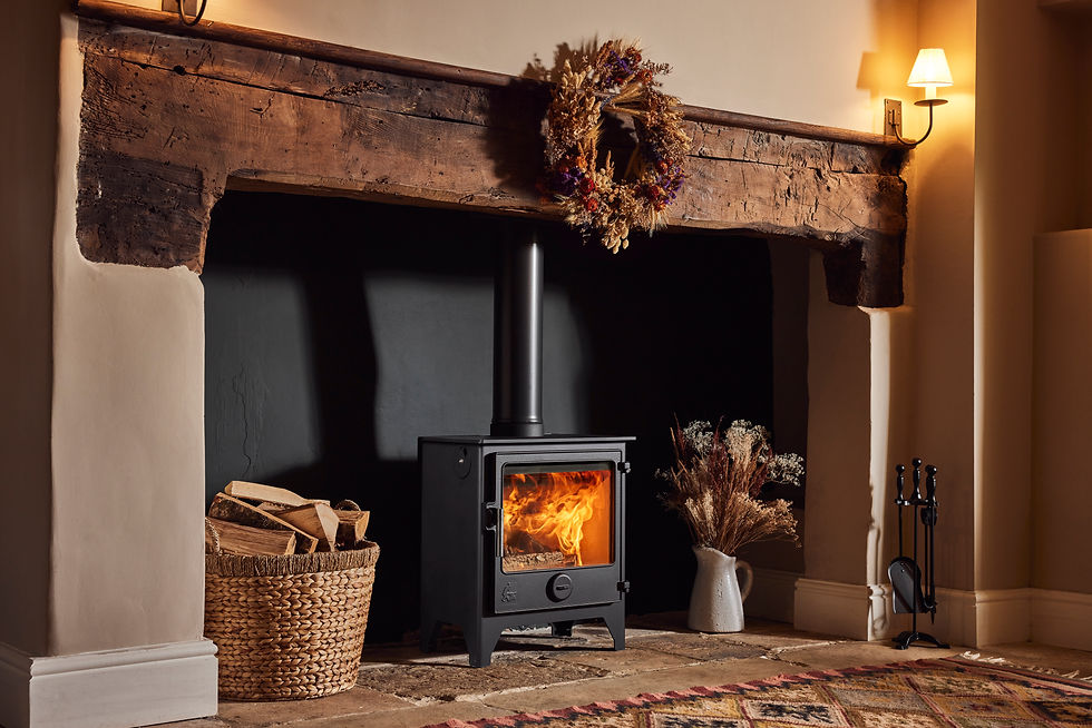 Eye-level view of a newly installed log burner in a cozy living room with spring sunlight