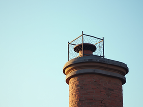 Preventing Bird Nests: Capping Disused Chimneys and Installing Guards on Active Ones