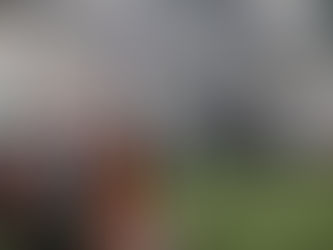 Batting Cages baseball and softball