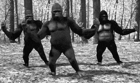 Photo Monnaie de Singe, Origine expression monnaie de singe Paris, enrichir son vocabulaire, définition, origine expression