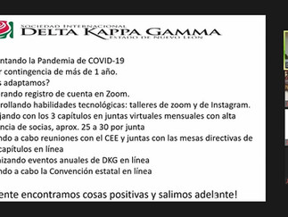 Informe de adaptación ante la pandemia