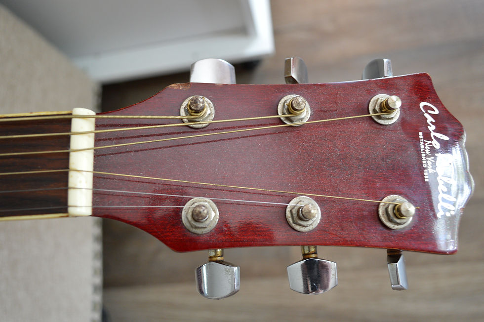 Carlo Robelli Acoustic guitar