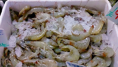 Large prawns