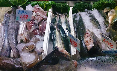 Fresh mackerel and other fish