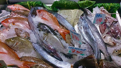 Fresh whole fish