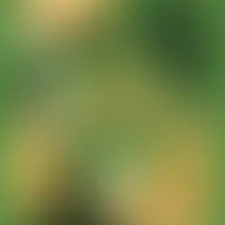 Lettres du Kansas 🖋️