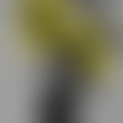 Ashes falling for the Sky 🤍