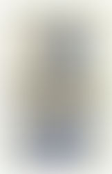 La folie des Papillons 🦋