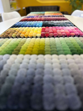 Poms in the studio.jpeg