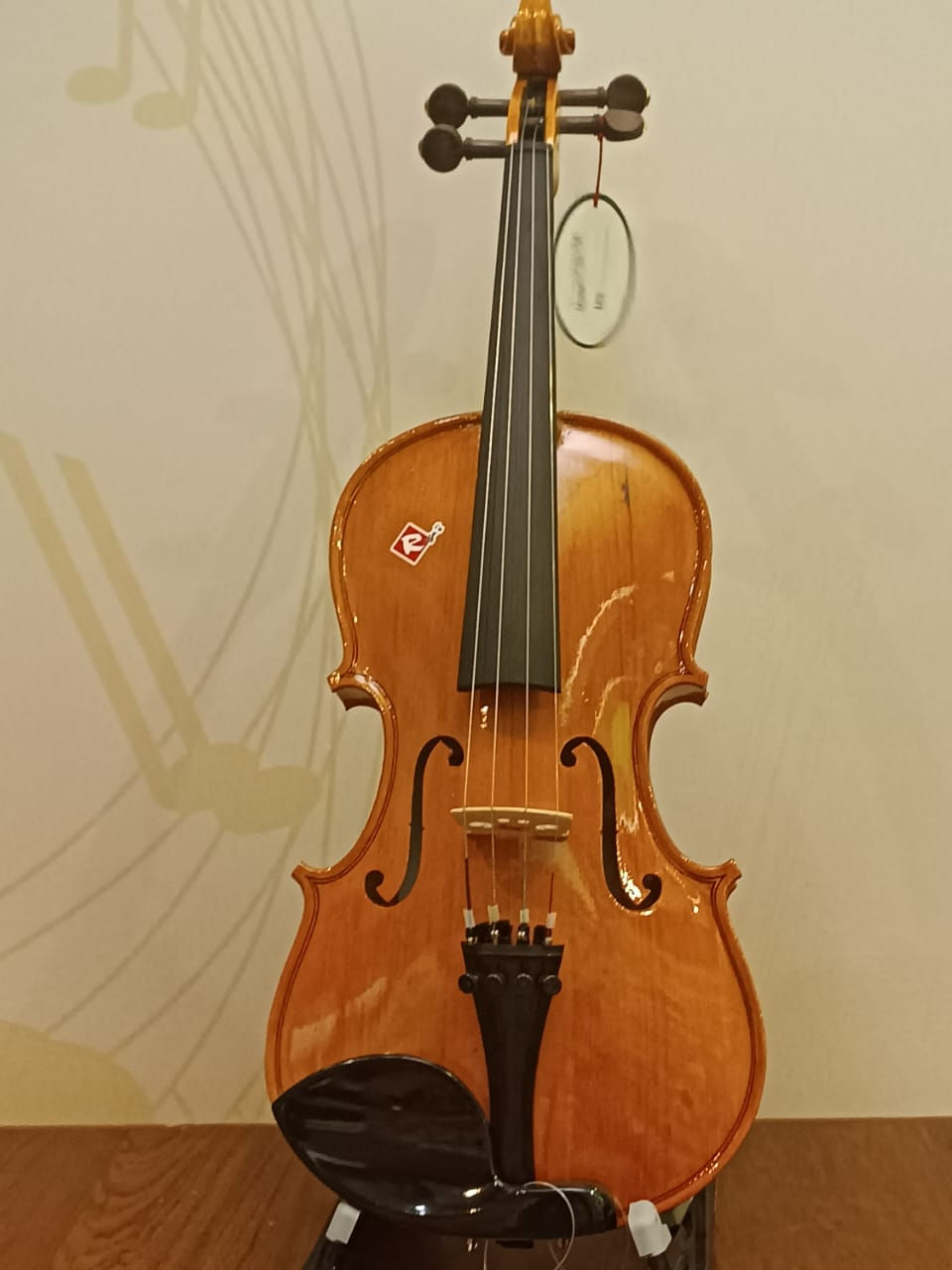Raga sales violin price