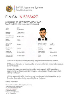 e-visa9