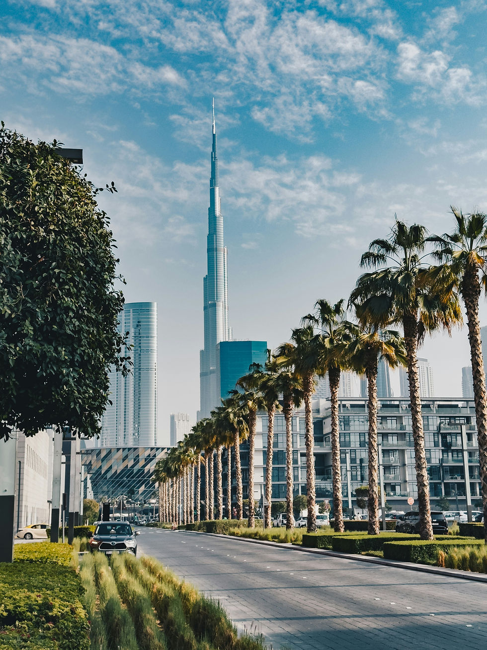 pawanpreet-singh-gAGEEvptFSc-unsplash (1).jpg