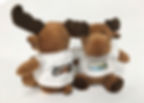 Miniature : 12 petits toutous personnalisés