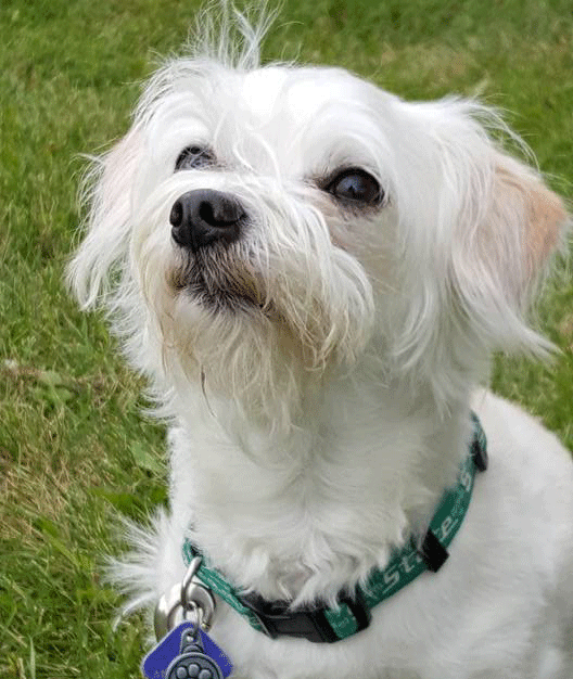 paco-2