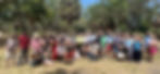 Sunny picnic picture